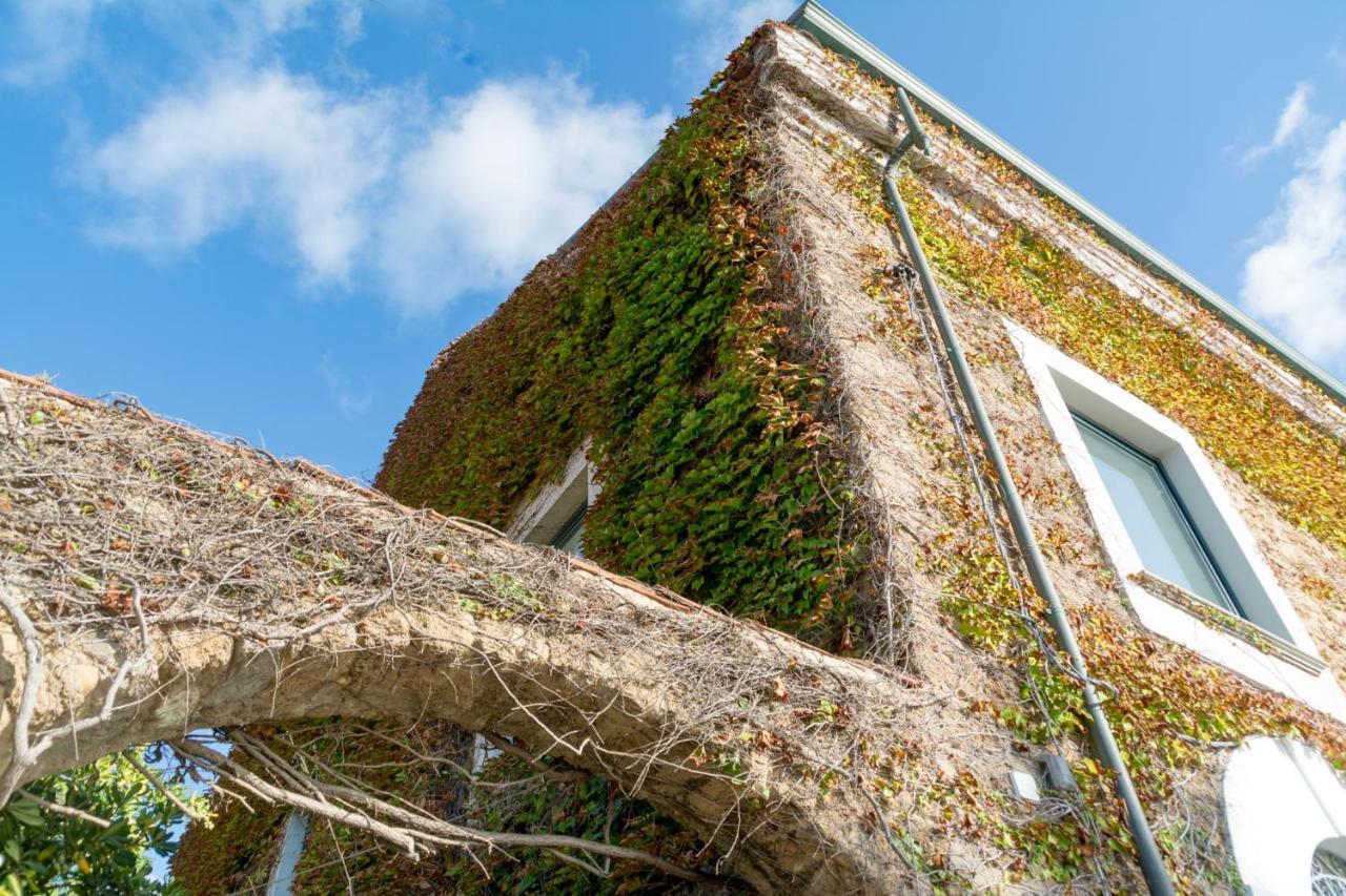La Belle Vie B&B Santa Maria di Castellabate Exterior foto